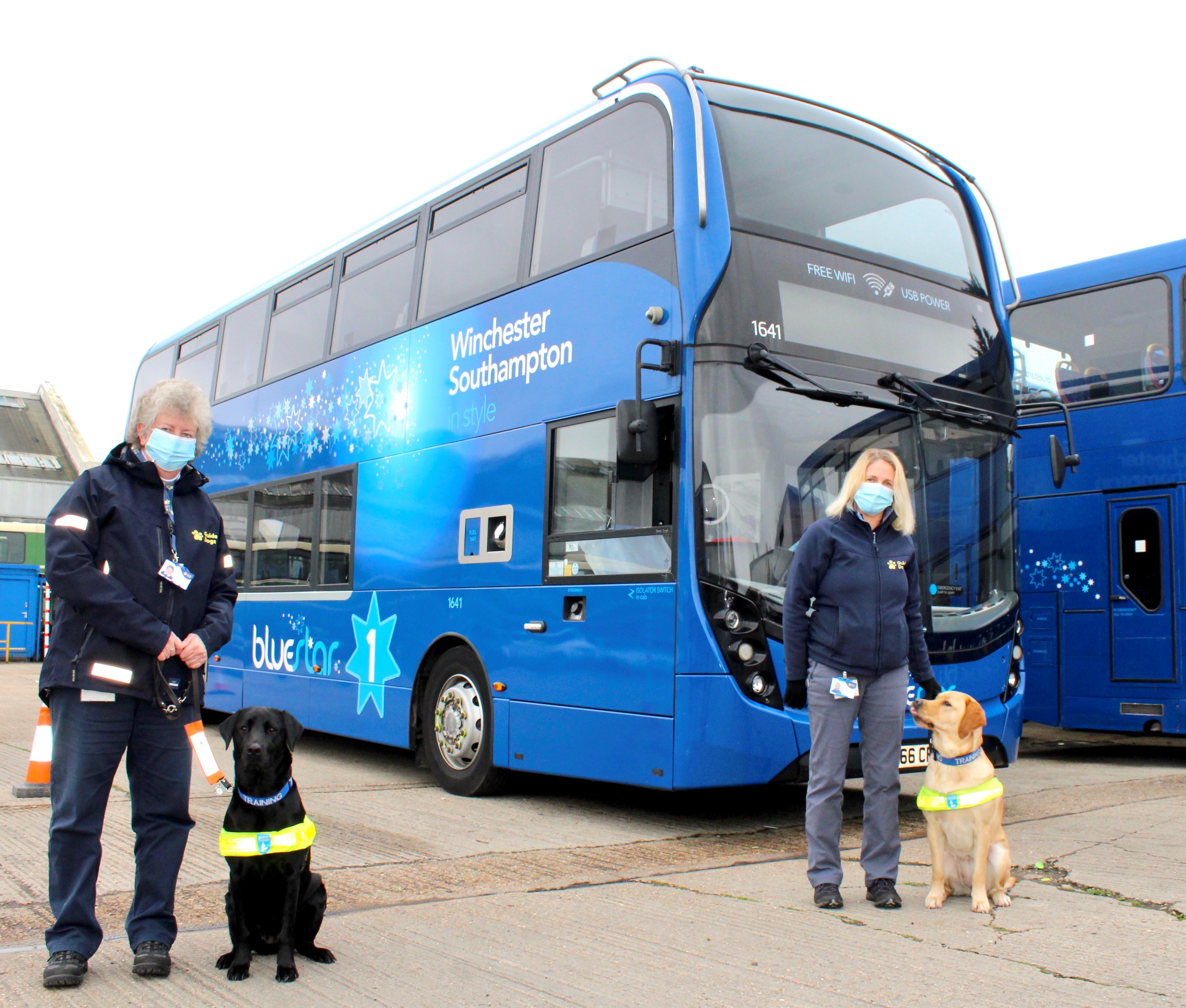 are dogs allowed in buses