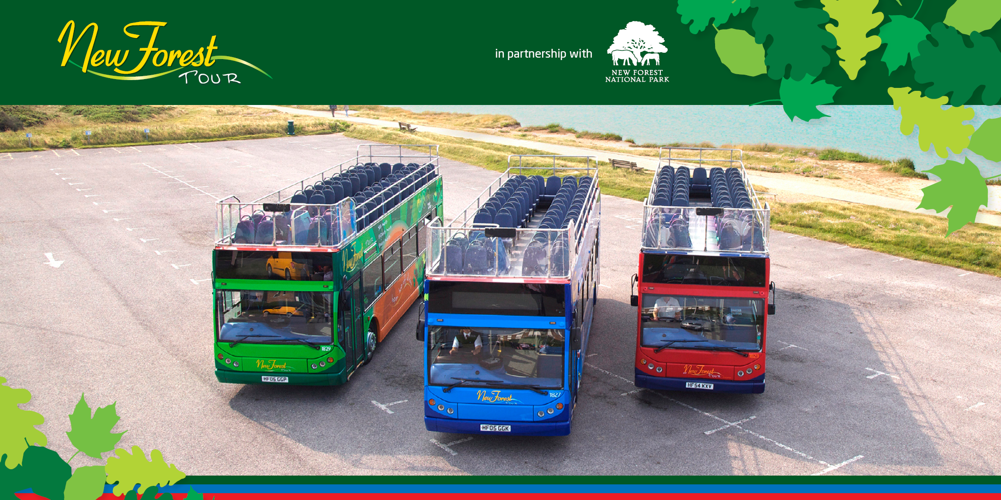 Green, Blue and Red New Forest Tour route buses image