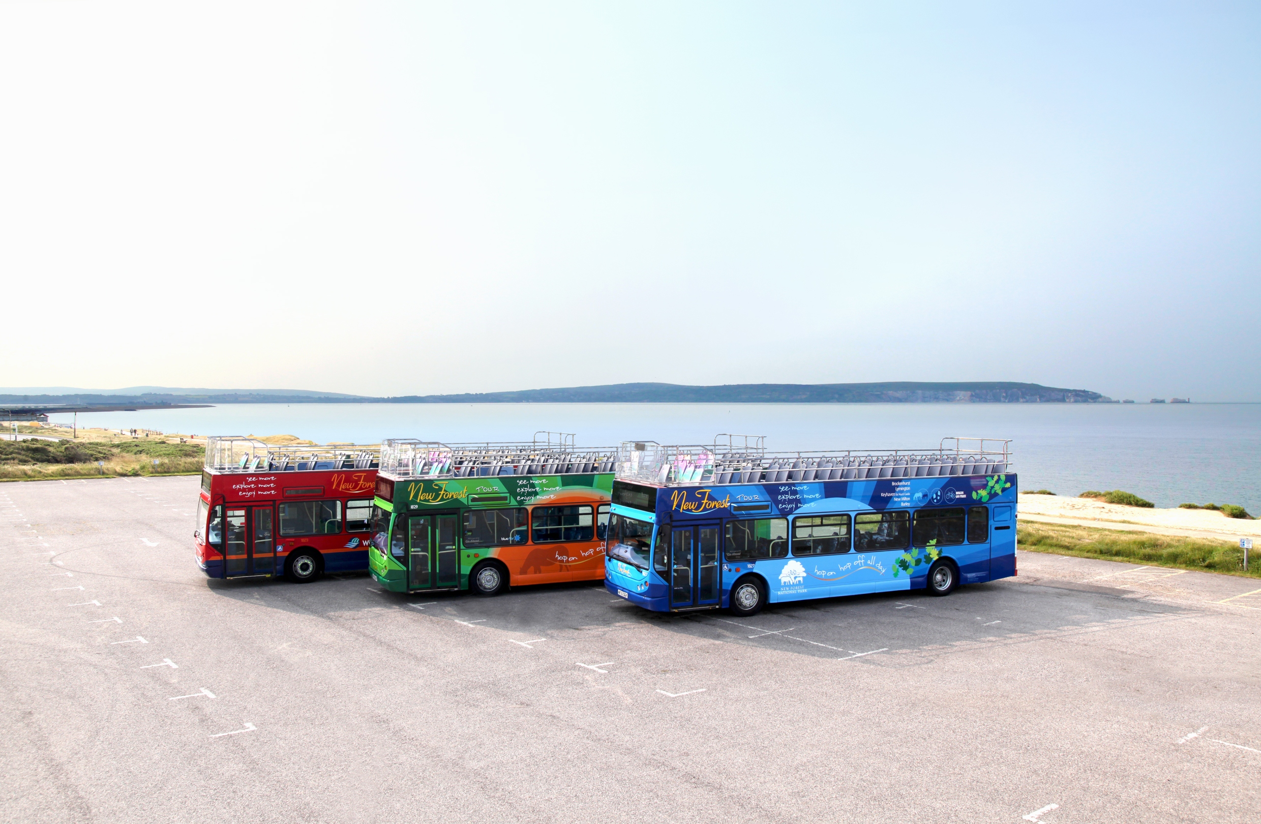 Three New Forest Tour buses lined up