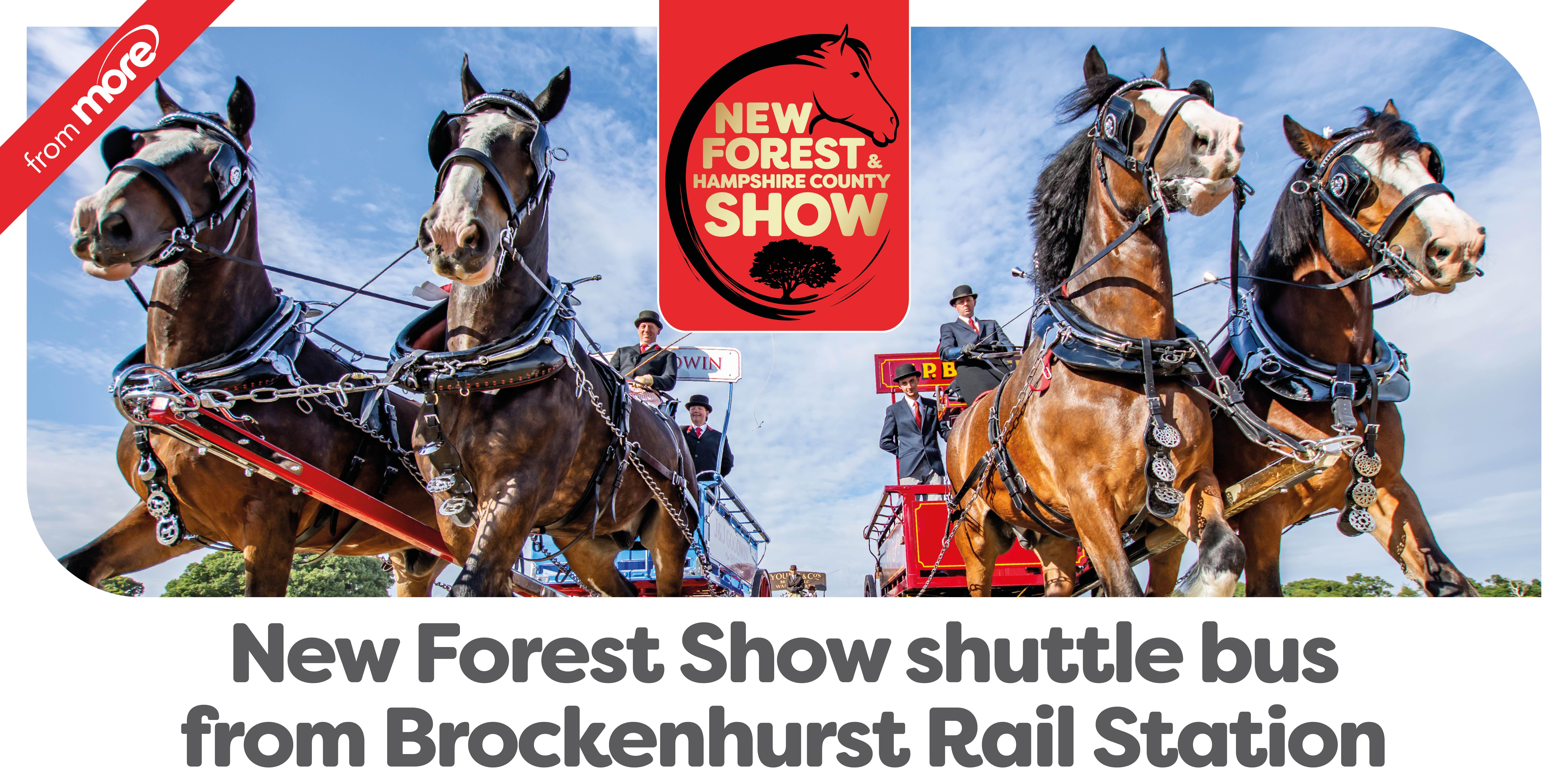 New Forest Show shuttle bus from Brock rail station image with horses
